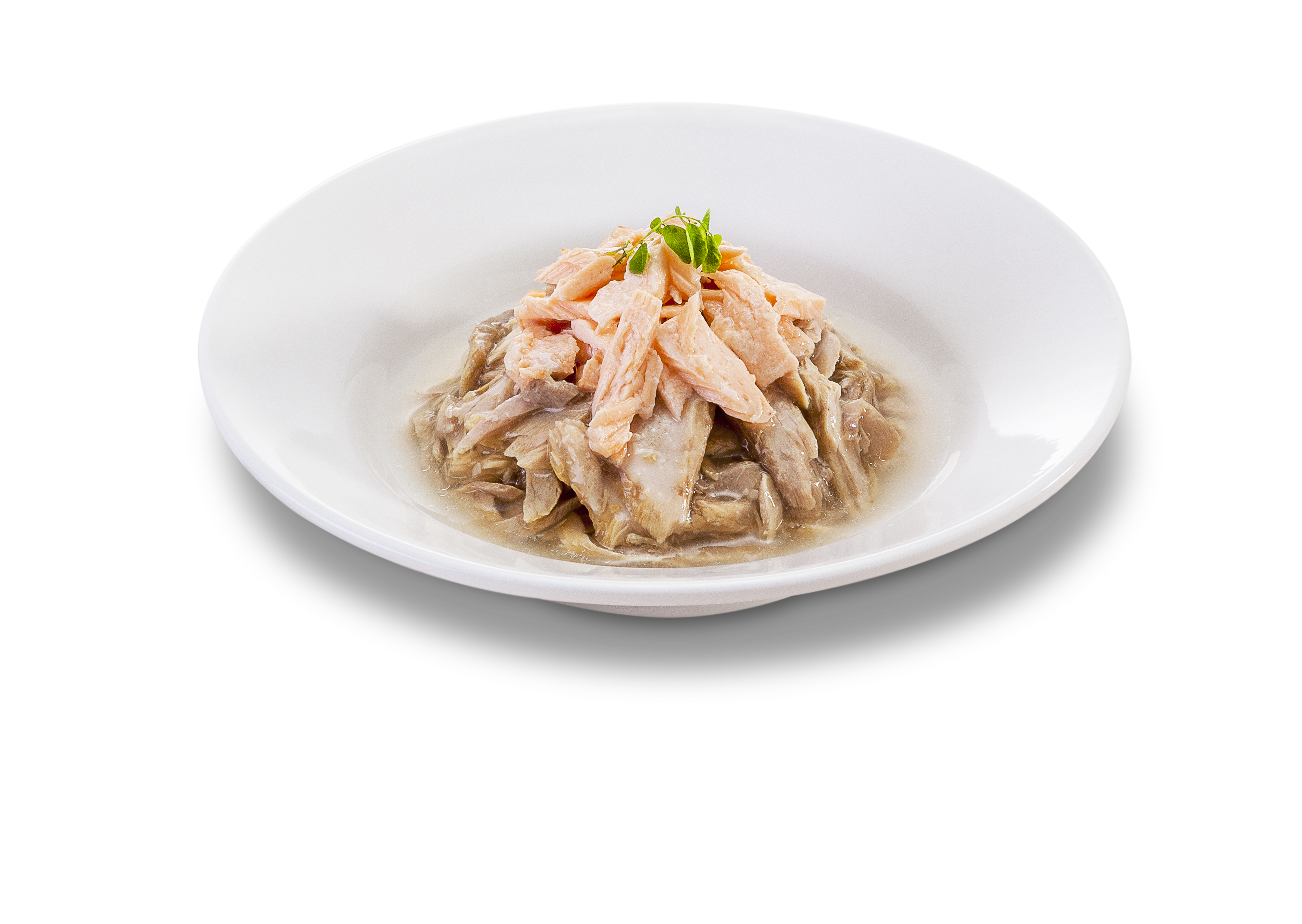 Tuna+Salmon (1)