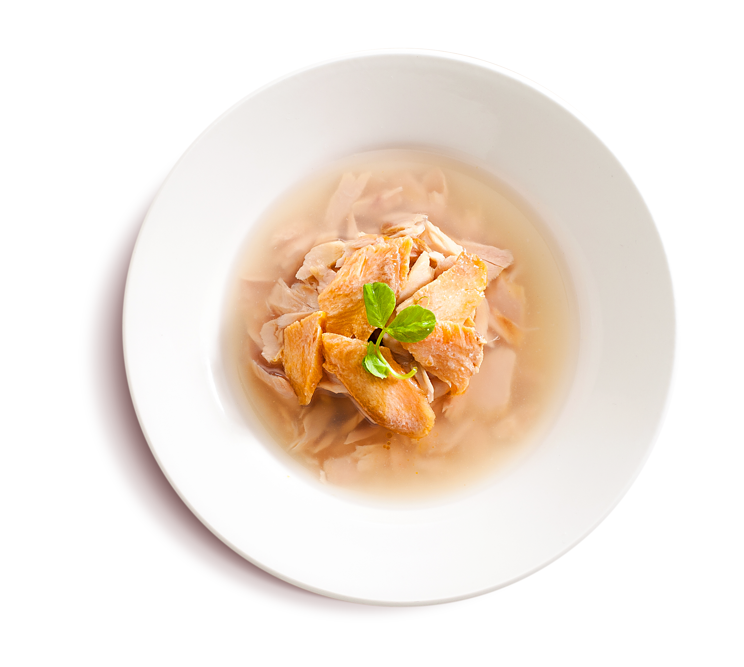 Tuna+Salmon (3)