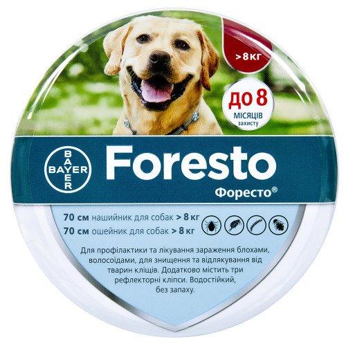 4695847849_oshejnik-foresto-bayer.jpg