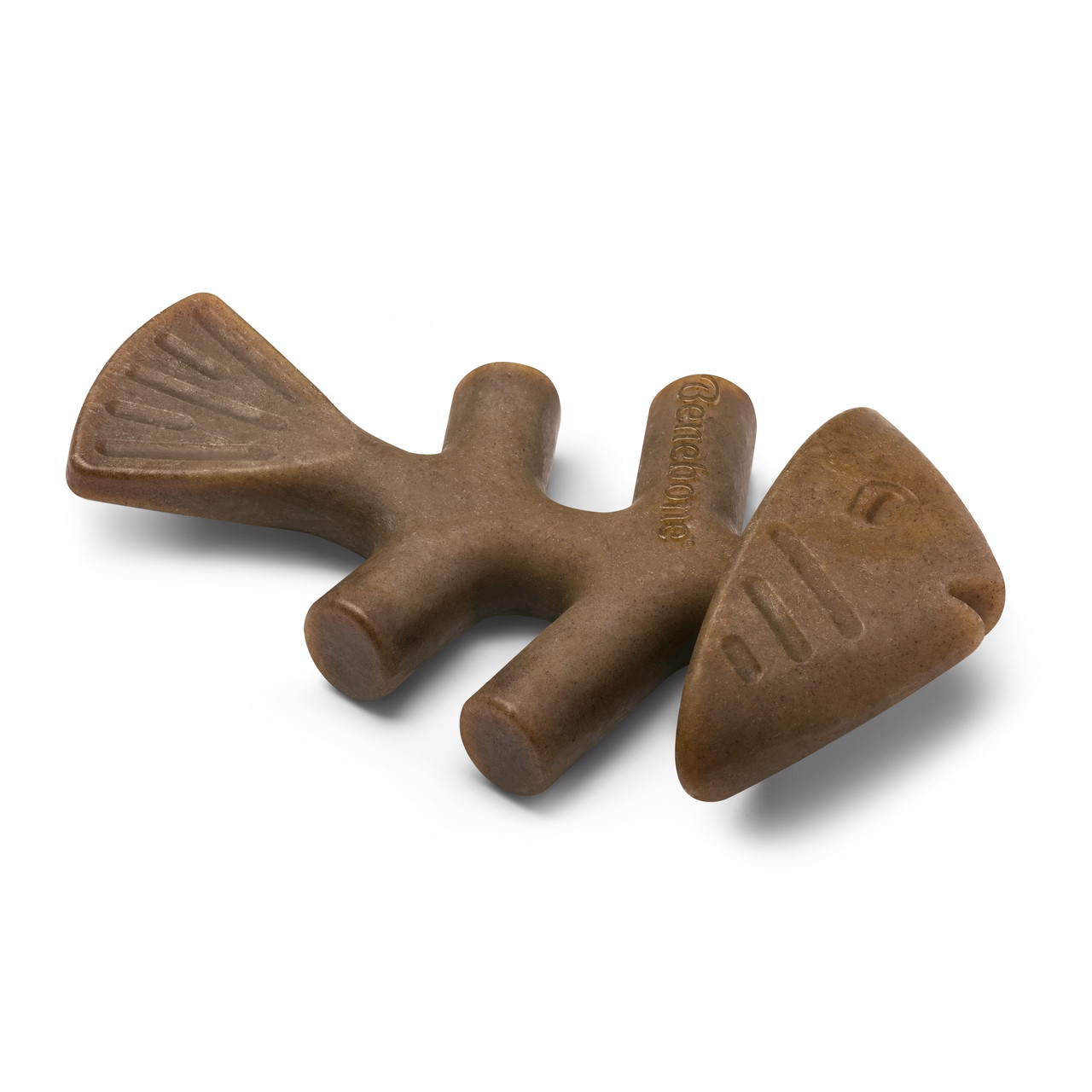 6449942320_benebone-fishbone-salmon.jpg