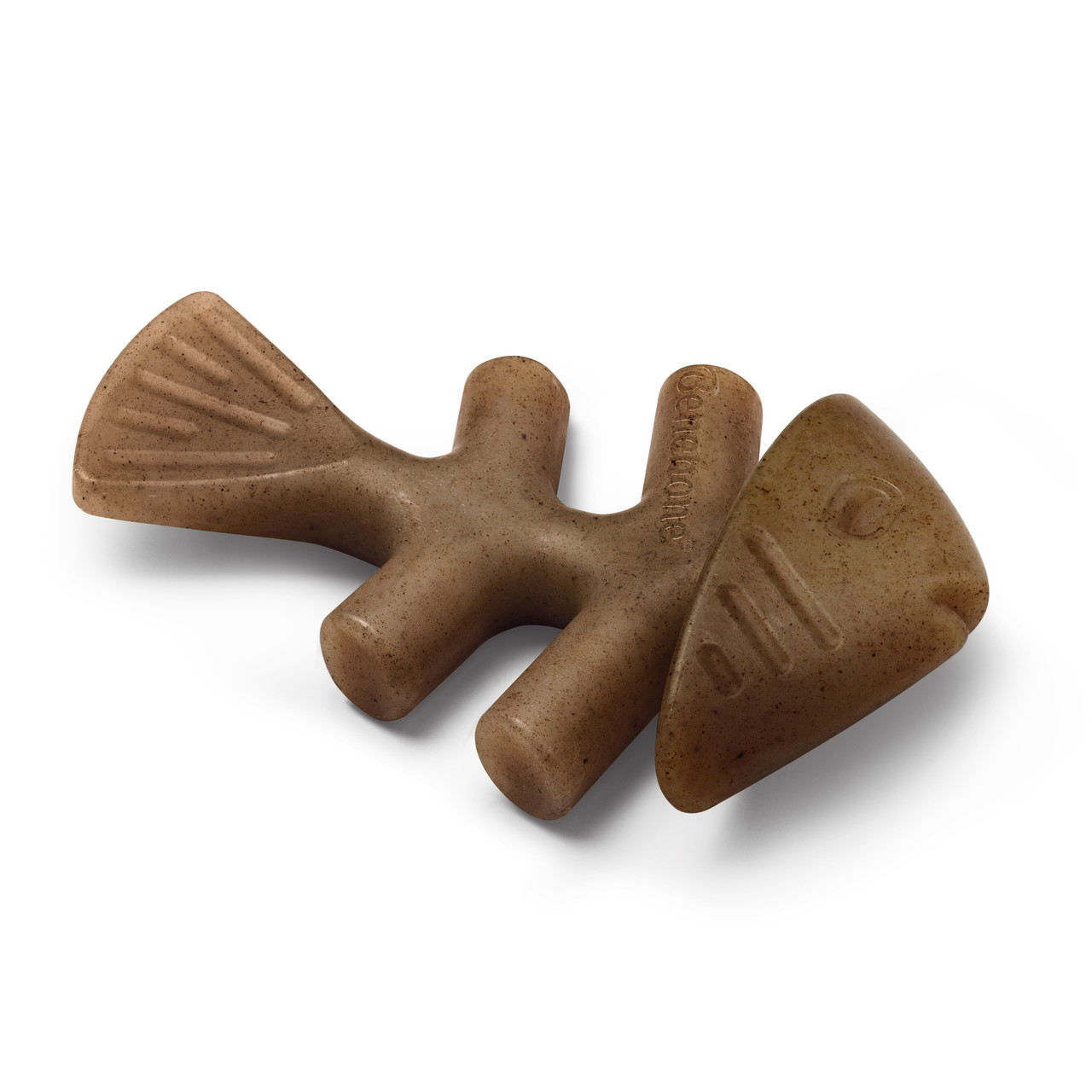 6449953619_benebone-fishbone-salmon.jpg
