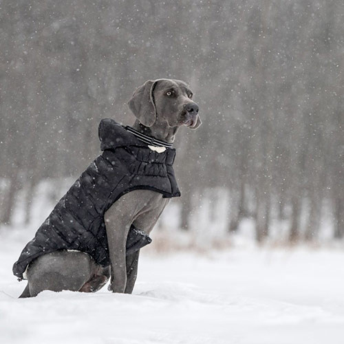 6890900901_parka-oblachko-hmarinka.jpg