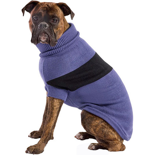 6921364127_gf-pet-catalyst.jpg